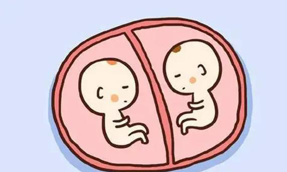 温州试管婴儿双胞胎的价格是多少？