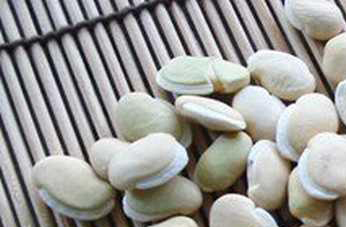 白扁豆的副作用